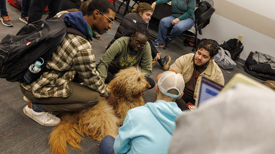 Students gather with a therapy dog at Big Red Pawp Up inside Love Library. Fall 2023 